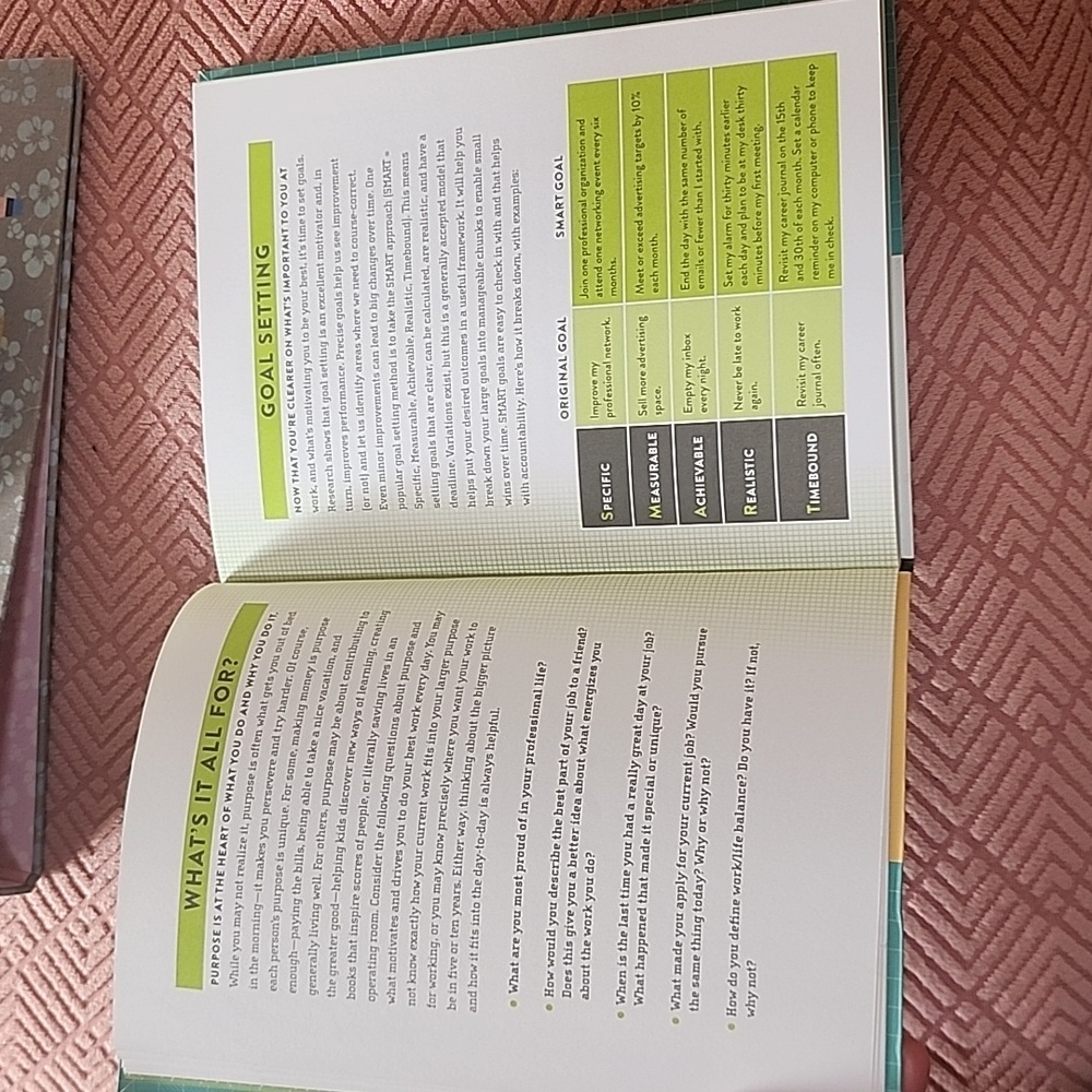 Work in Progress Goals Journal - Picture 7 of 8